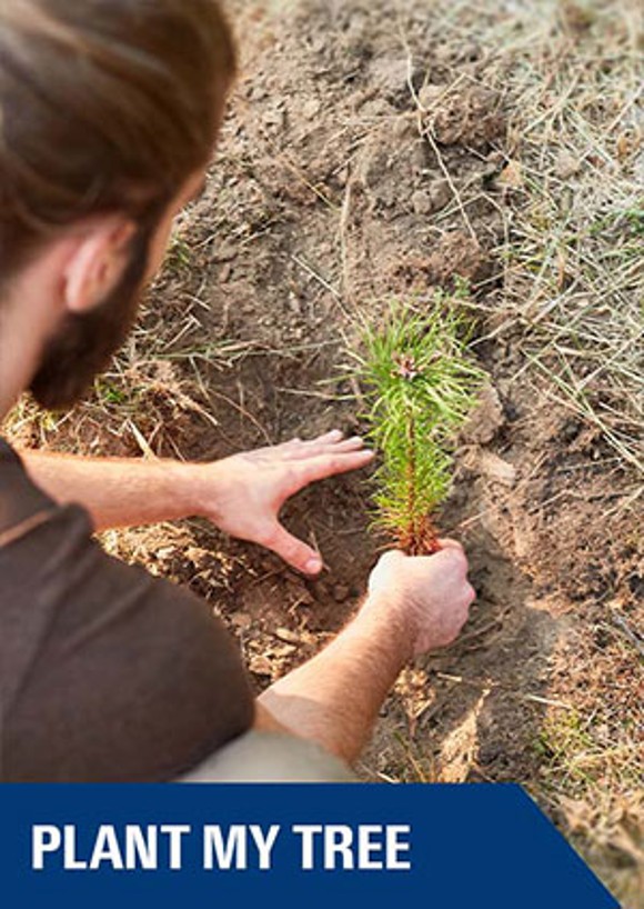 Plant my tree promotion