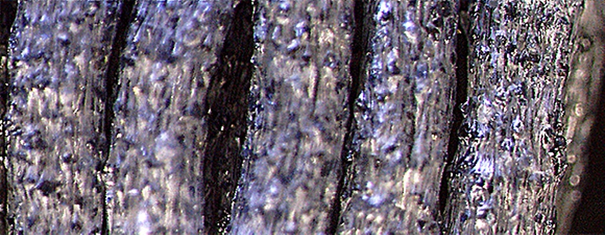 Die durchdachte Konstruktion der Tellerbürsten von ATORN.