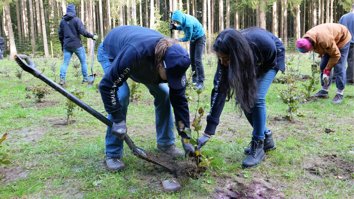 Plant-My-Tree and HAHN+KOLB